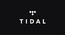 Sahara CyberStars Tidal